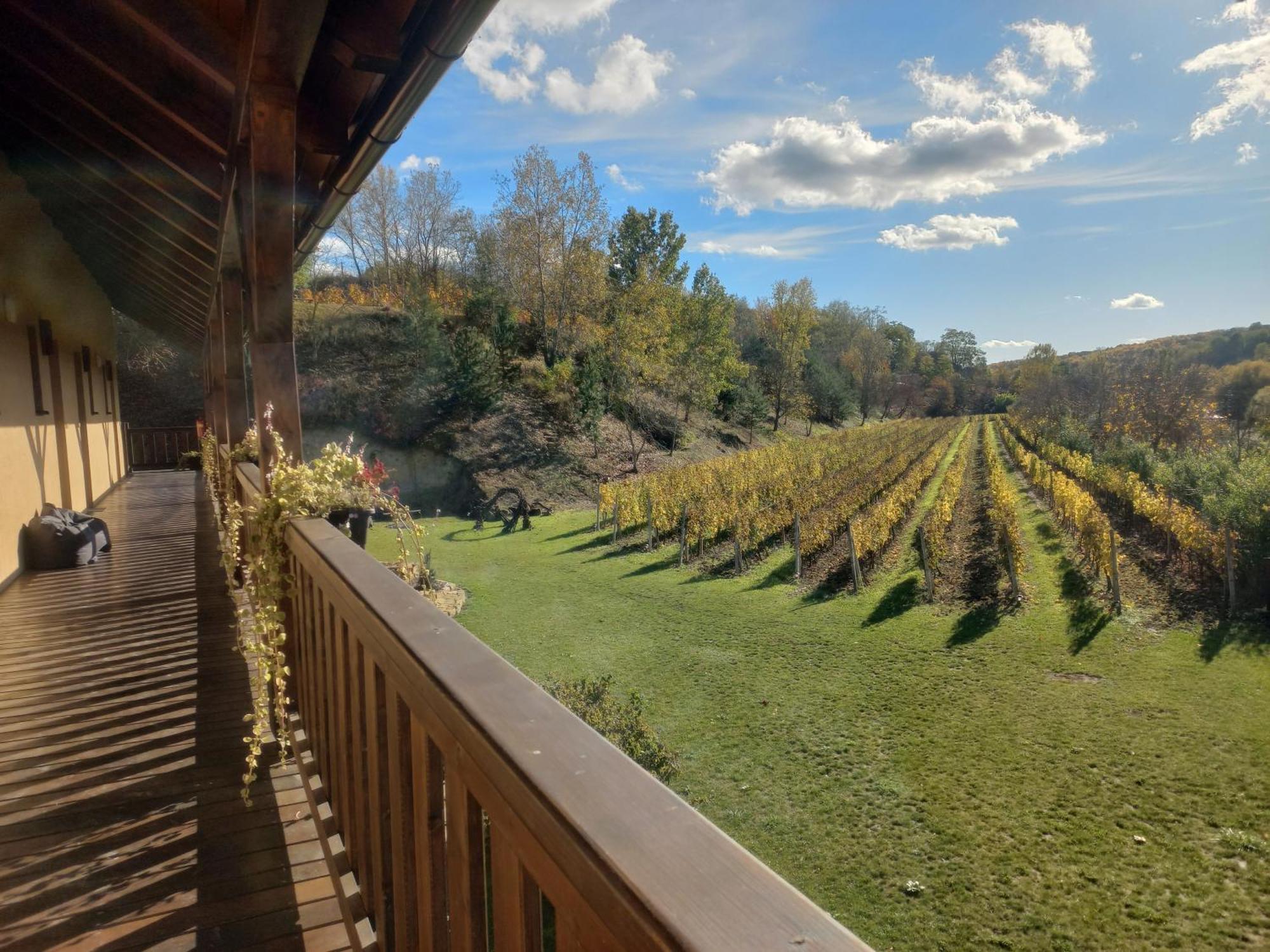 Penzion Ve Vinohradě Němčičky Exterior foto