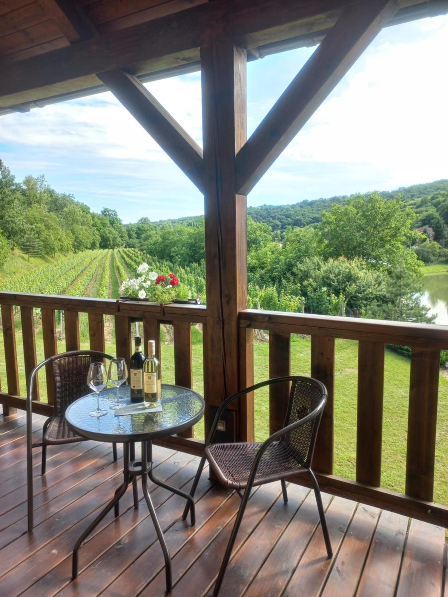 Penzion Ve Vinohradě Němčičky Exterior foto