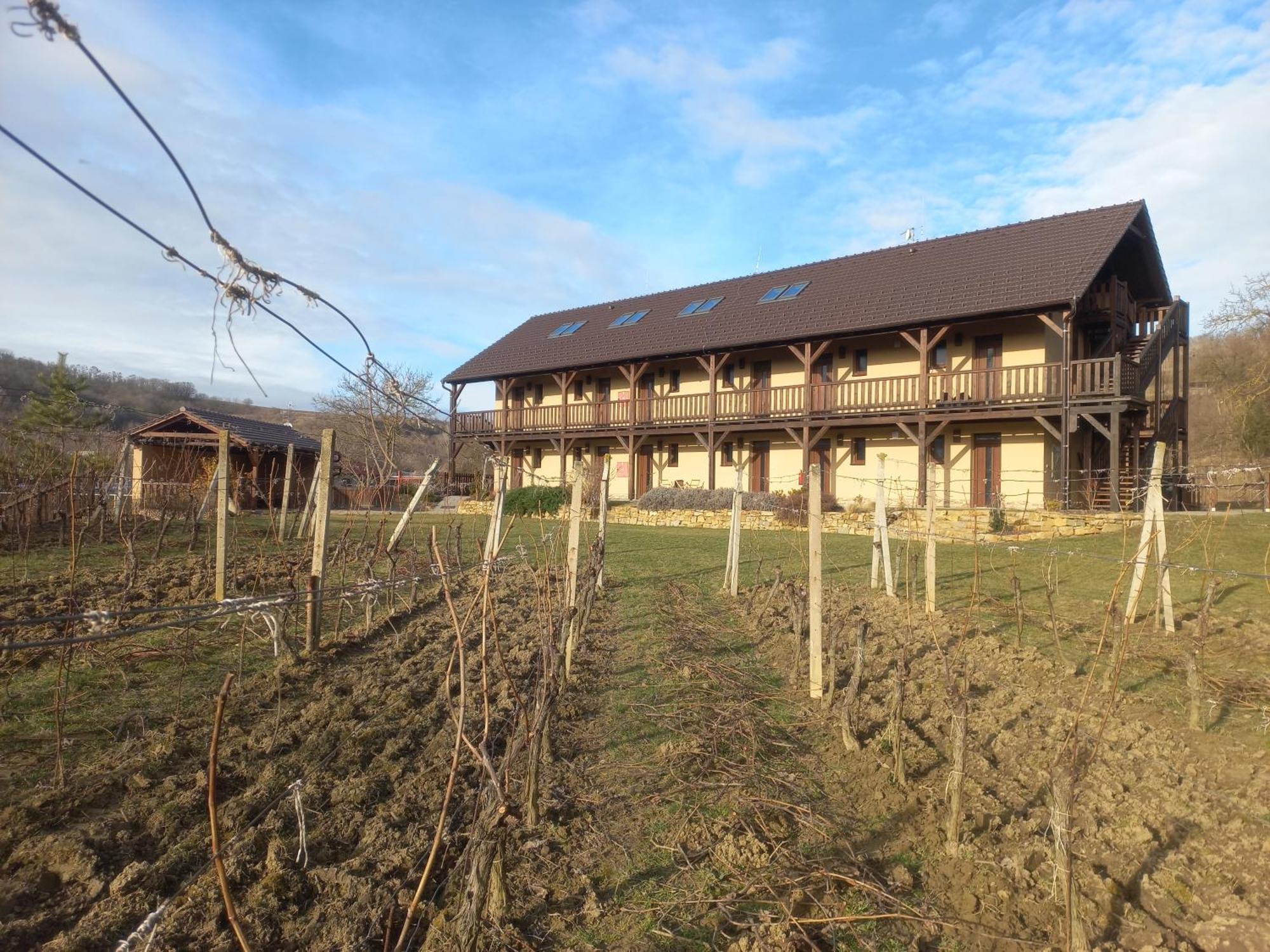 Penzion Ve Vinohradě Němčičky Exterior foto