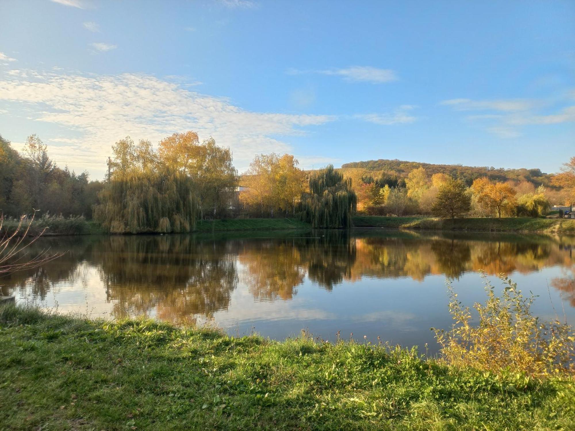 Penzion Ve Vinohradě Němčičky Exterior foto